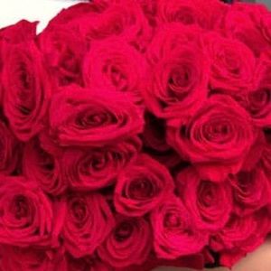 Meet your Posher, Marisol